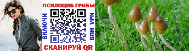Псилоцибиновые грибы Cubensis хочу Ейск
